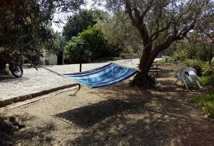 Molivos View Studios