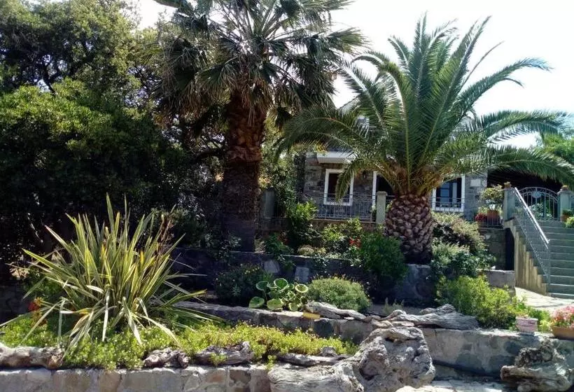 Molivos View Studios