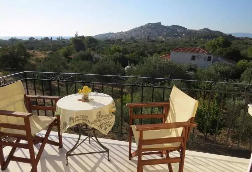 Molivos View Studios