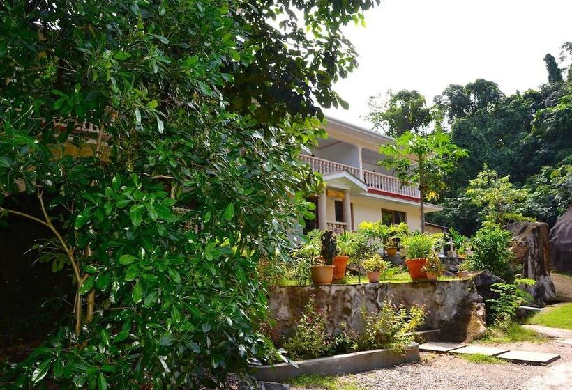 پانسیون Forest Lodge