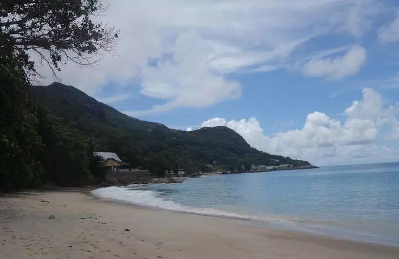 پانسیون Forest Lodge