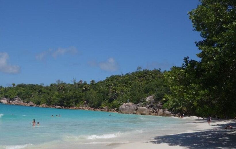 پانسیون Forest Lodge