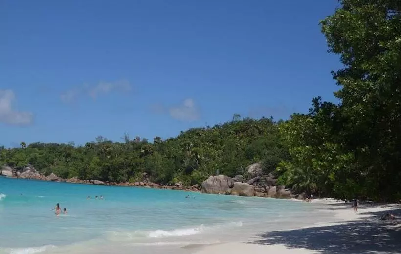 پانسیون Forest Lodge