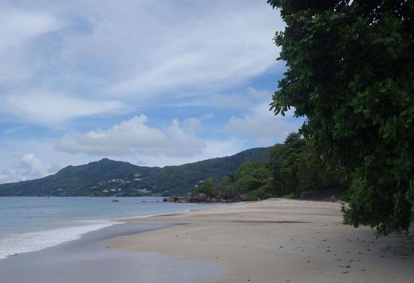 پانسیون Forest Lodge