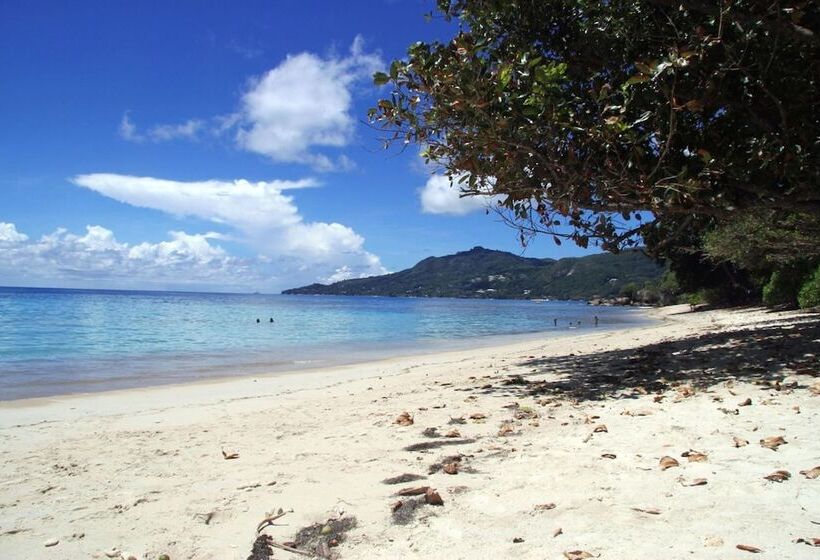 پانسیون Forest Lodge