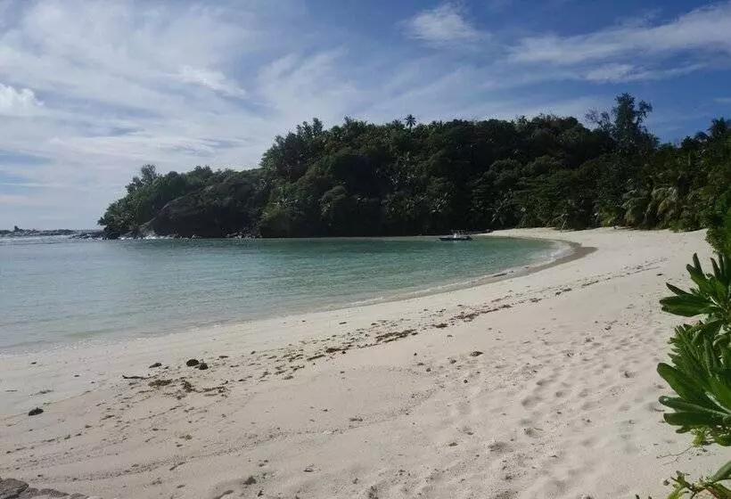 پانسیون Forest Lodge