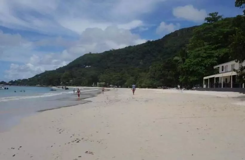 پانسیون Forest Lodge