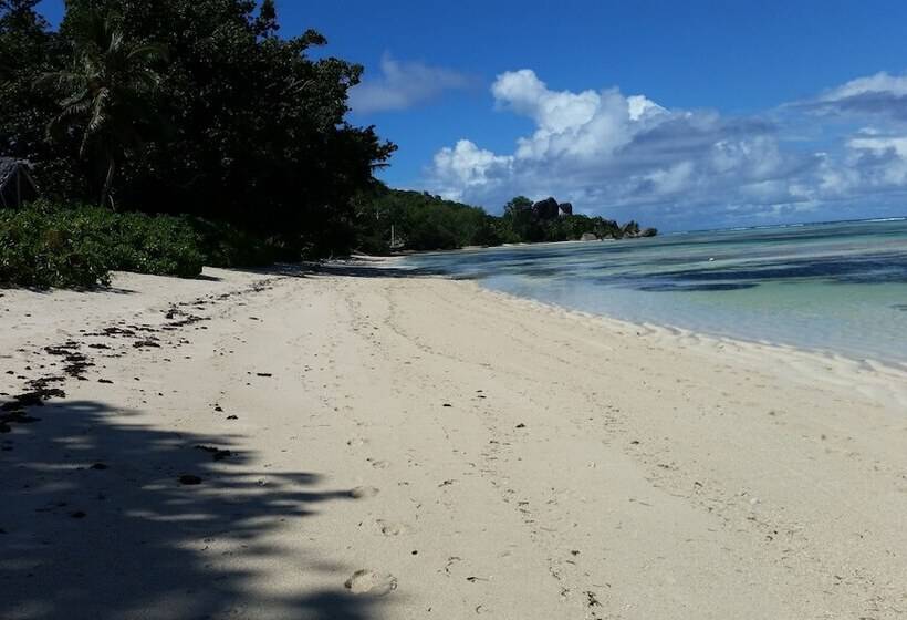 پانسیون Forest Lodge