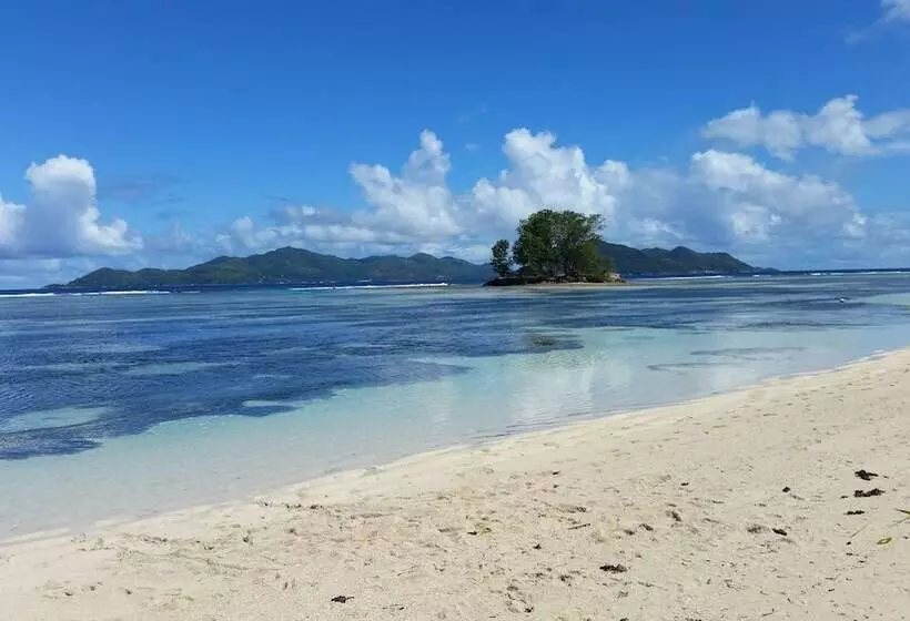 پانسیون Forest Lodge