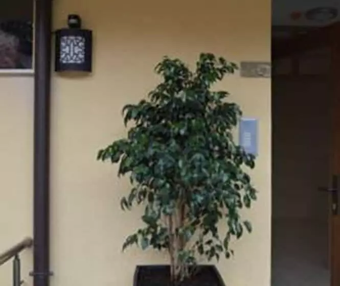 Hotel Bon Bon Home