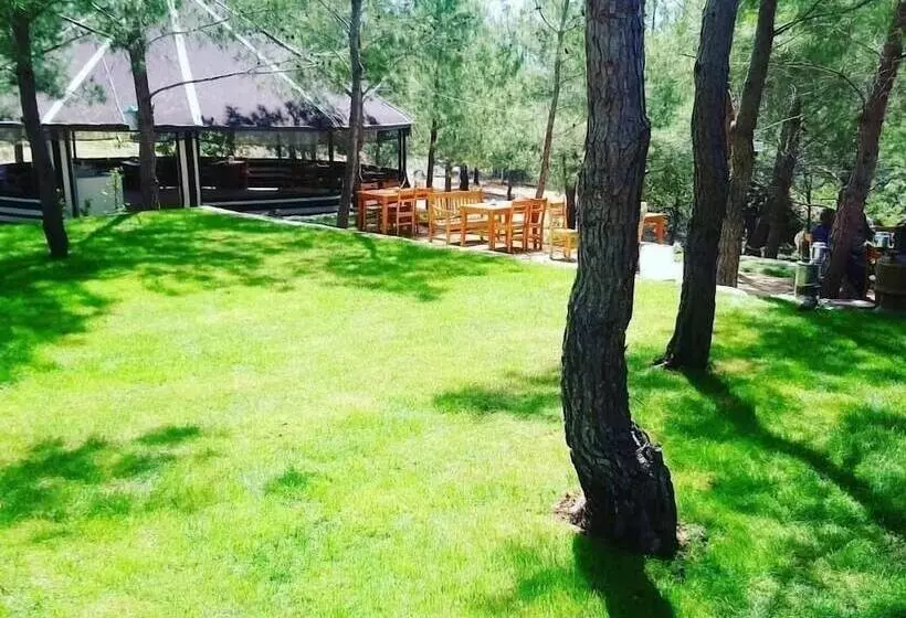 ホテル Durusu çi̇ftli̇kevleri̇