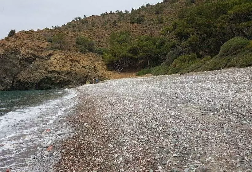ホテル Durusu çi̇ftli̇kevleri̇