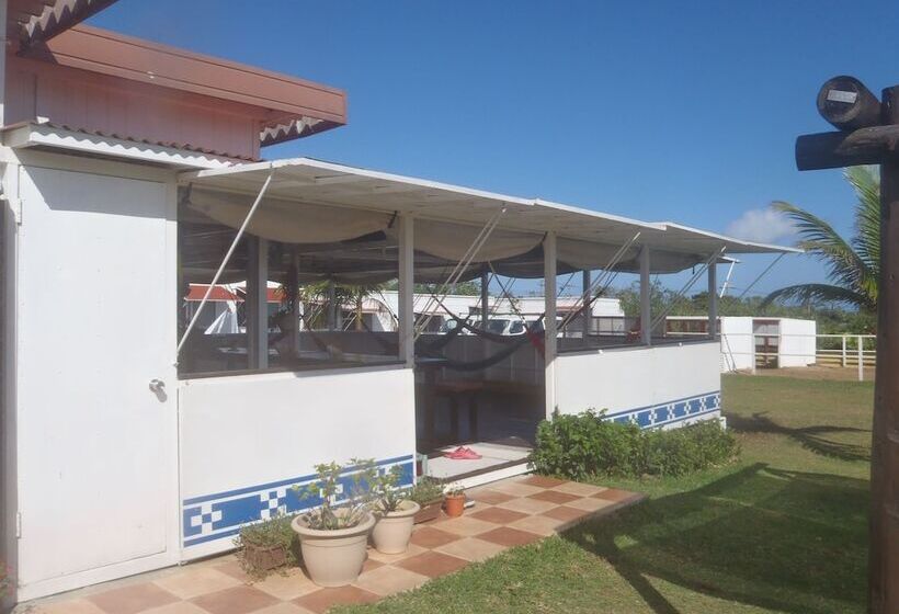 Iriomotejima Monsoon   Hostel