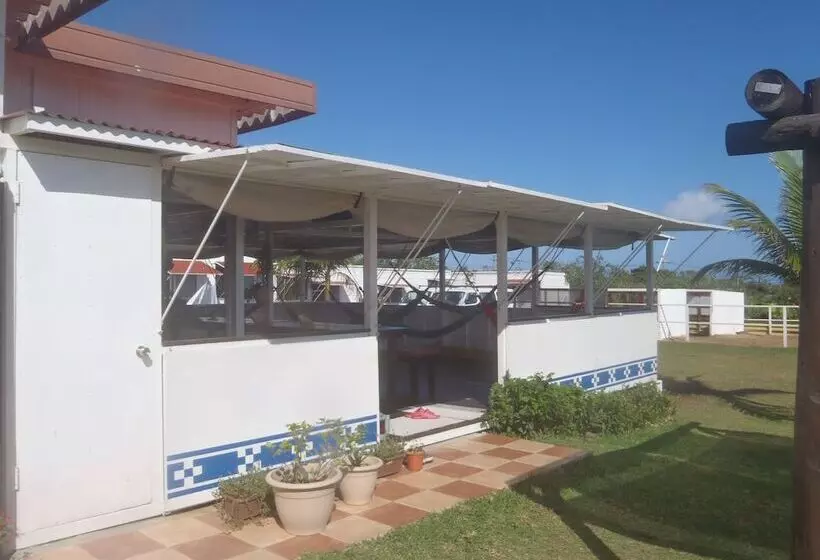Iriomotejima Monsoon   Hostel