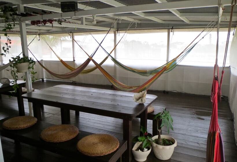 Iriomotejima Monsoon   Hostel