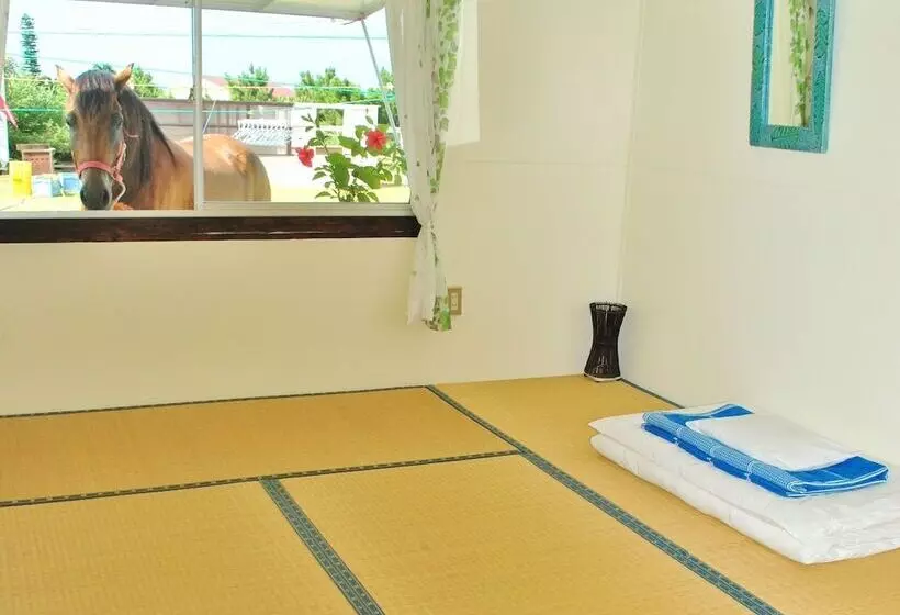 Iriomotejima Monsoon   Hostel