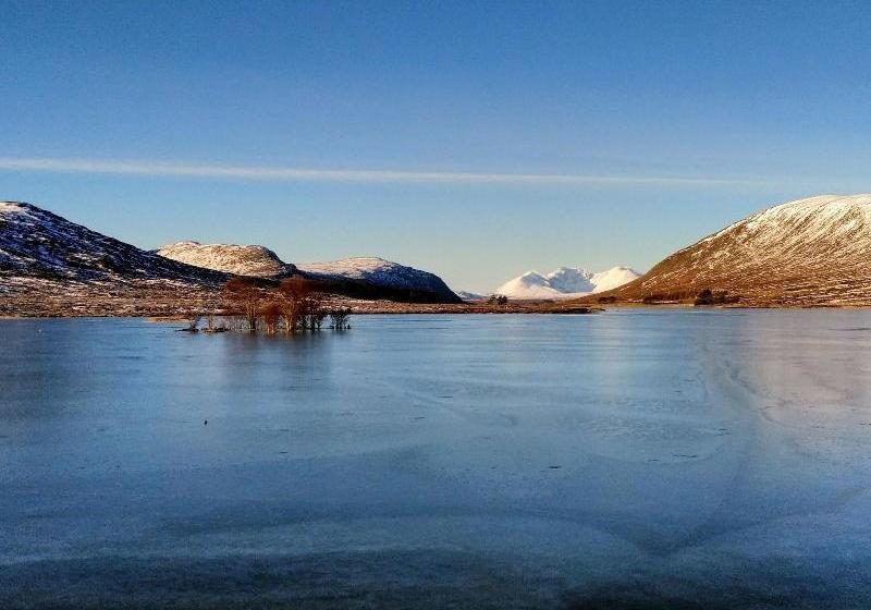 فندق صغير Forest Way Bunkhouse