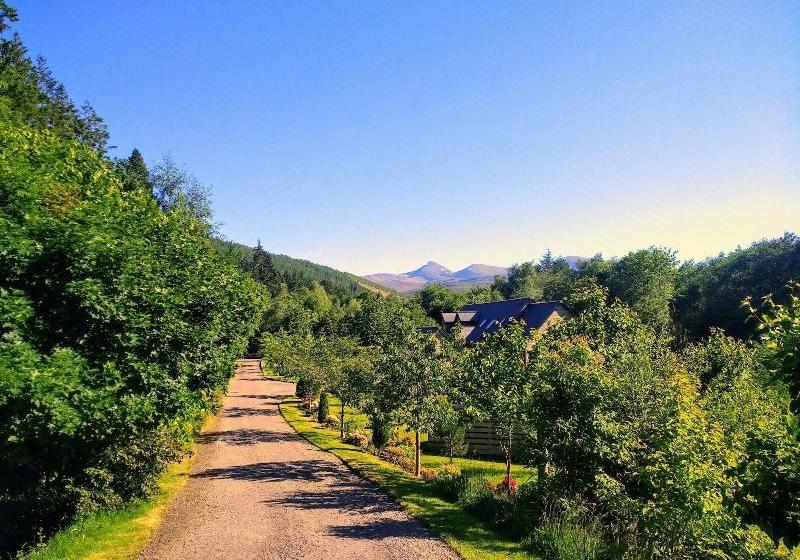 فندق صغير Forest Way Bunkhouse