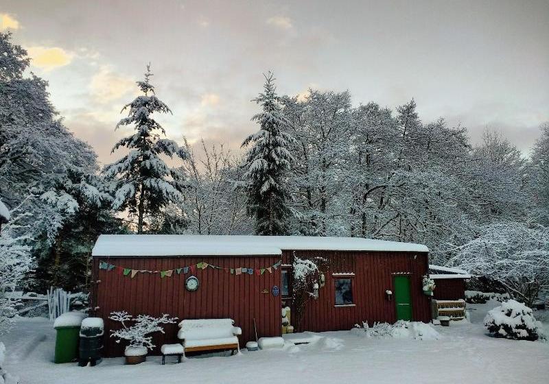 فندق صغير Forest Way Bunkhouse