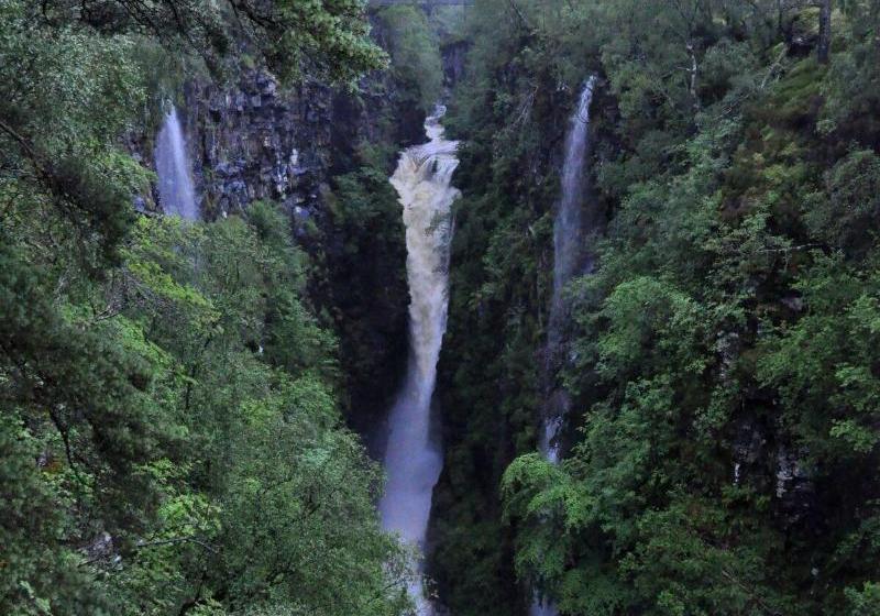 فندق صغير Forest Way Bunkhouse