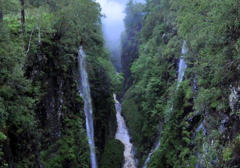 فندق صغير Forest Way Bunkhouse