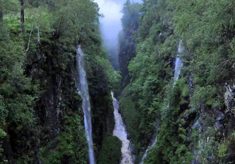 Retkeilymaja Forest Way Bunkhouse