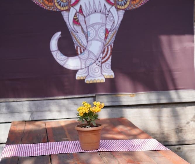 هتل Kadir's Family House