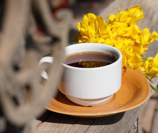 هتل Kadir's Family House