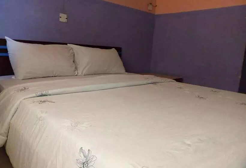 پانسیون Hollajobi Guest House