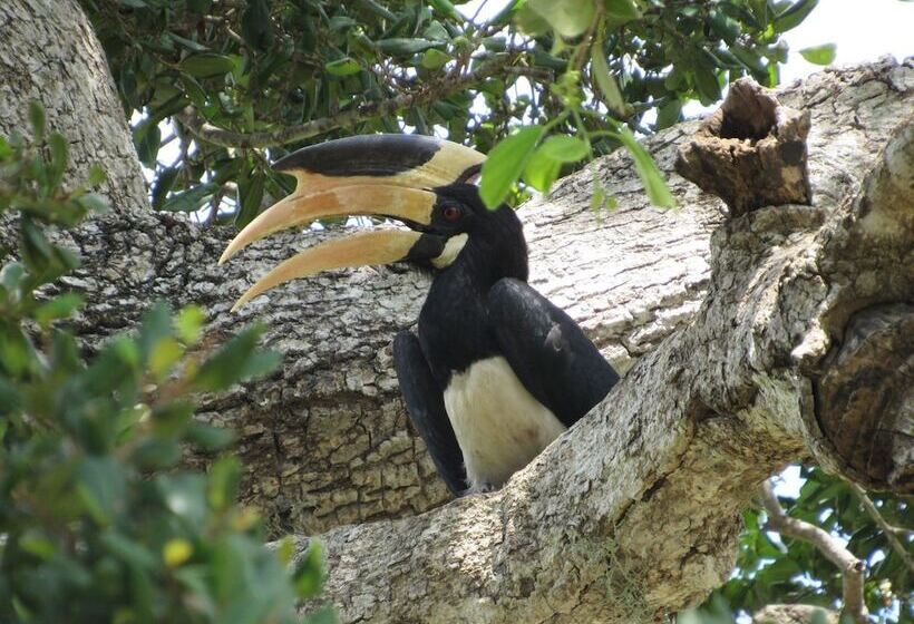 بنسيون Wadula Safari Yala