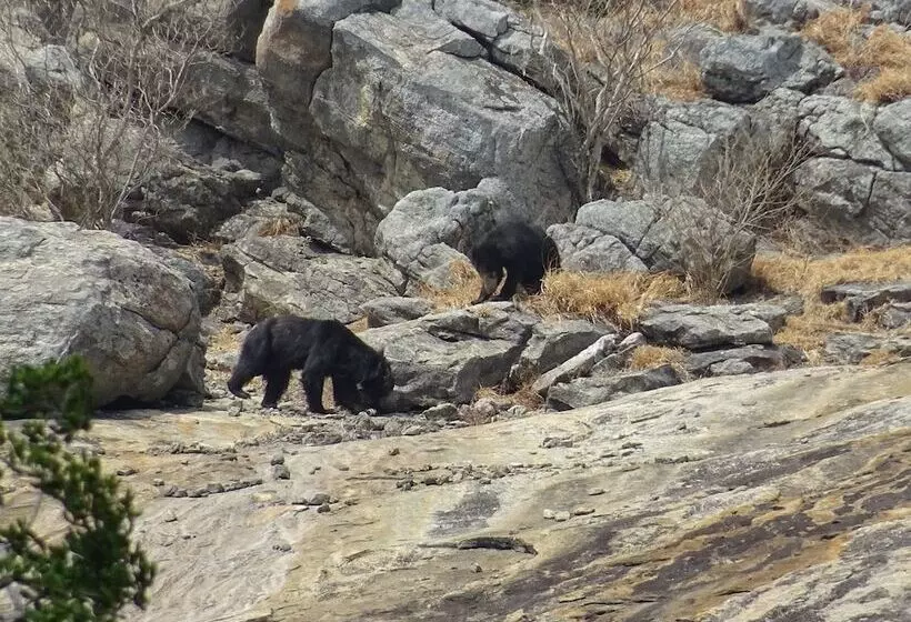 Majatalo Wadula Safari Yala