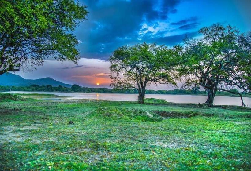 بنسيون Wadula Safari Yala