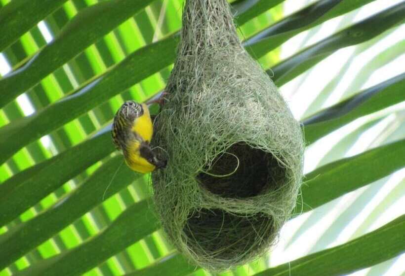 بنسيون Wadula Safari Yala