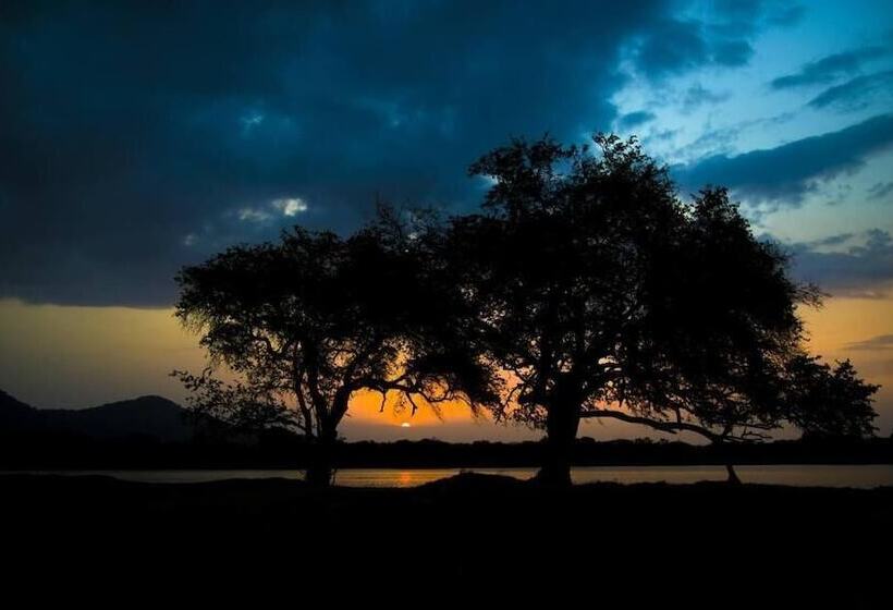 بنسيون Wadula Safari Yala