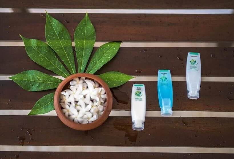 بنسيون Wadula Safari Yala