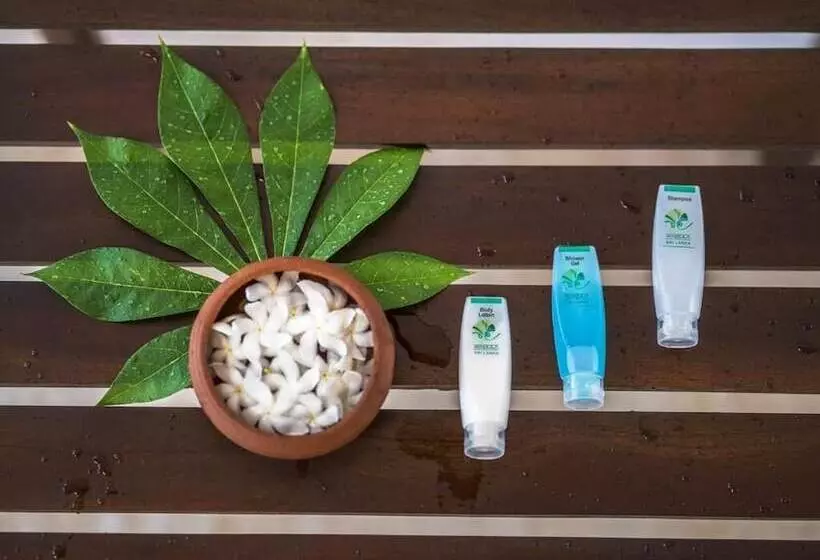 Majatalo Wadula Safari Yala