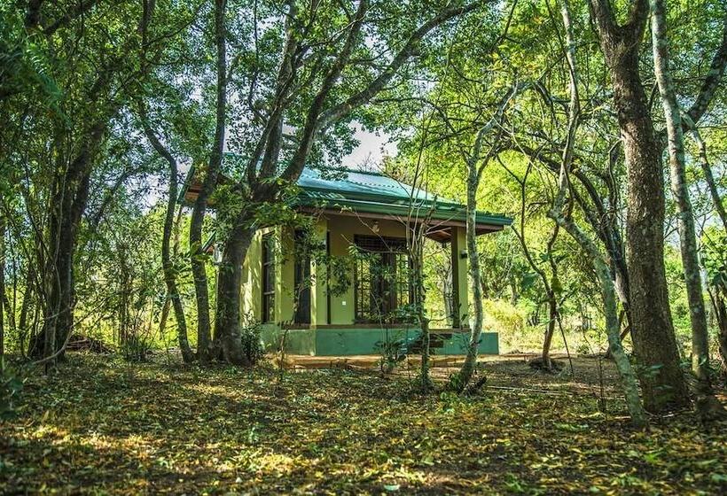 بنسيون Wadula Safari Yala