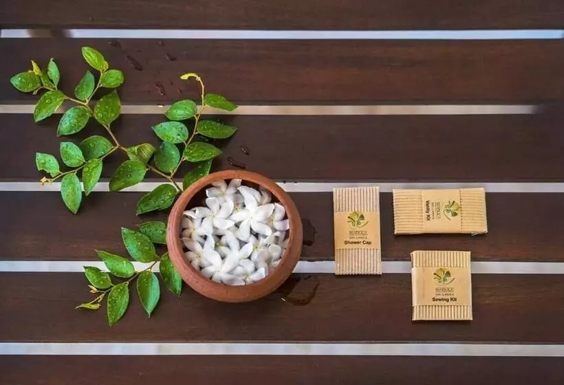 Majatalo Wadula Safari Yala