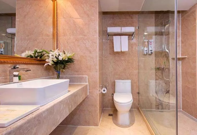 Vienna Hotel Changde Wuling Avenue