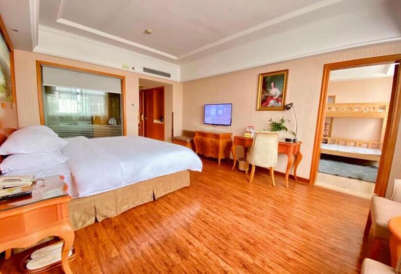 Vienna Hotel Changde Wuling Avenue