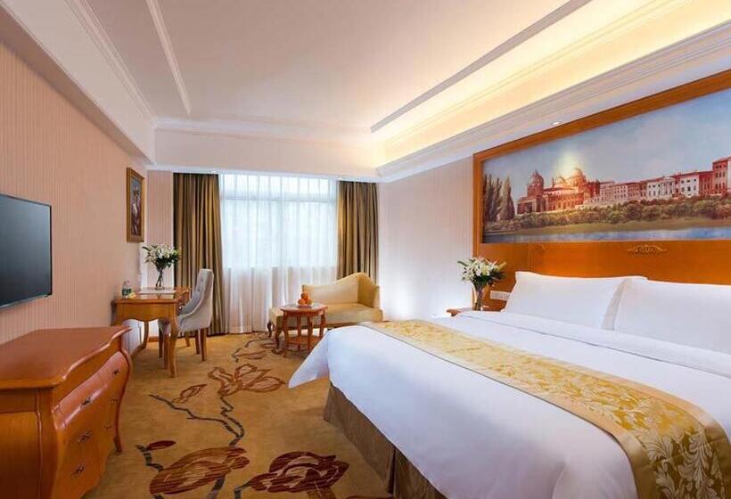 Vienna Hotel Changde Wuling Avenue