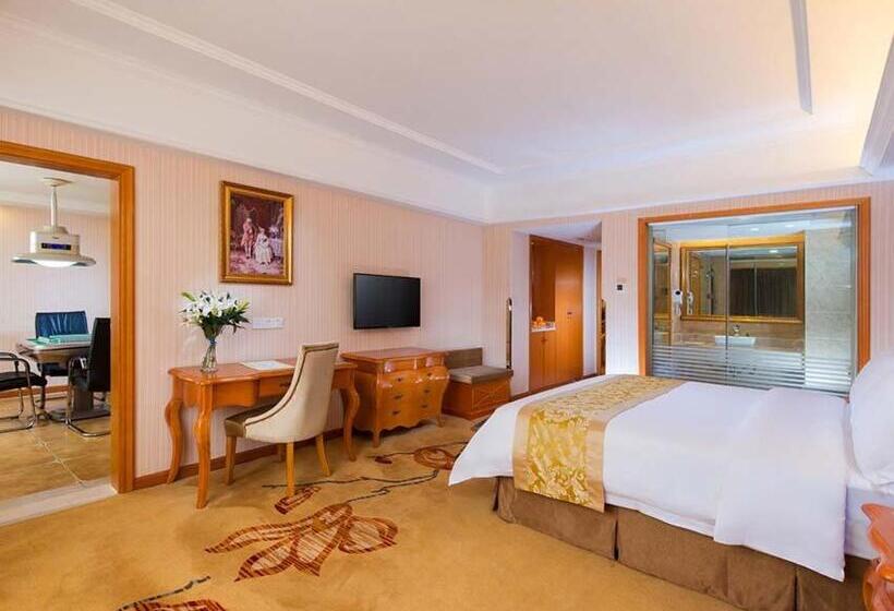 Vienna Hotel Changde Wuling Avenue