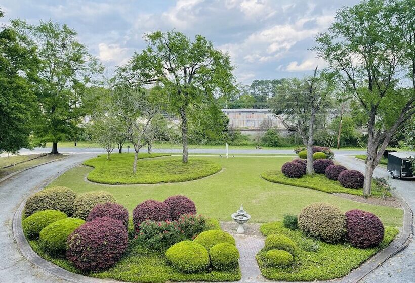 مبيت وإفطار Peacock Place