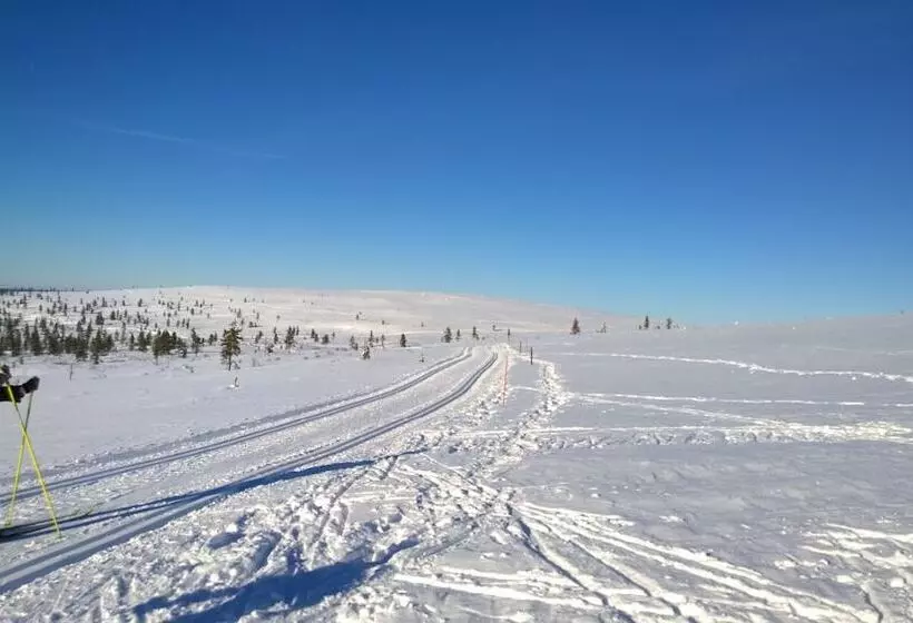 Hostelli Kierinki Village