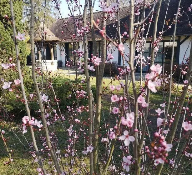 Les Enclos Bed And Breakfast à 4 Mn De Chantilly