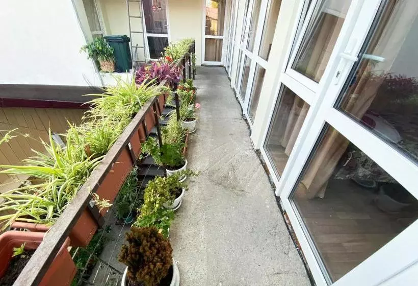 Majatalo Dikovinka Sochi Guest House