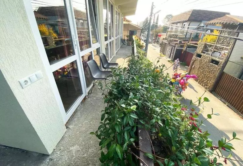 Majatalo Dikovinka Sochi Guest House