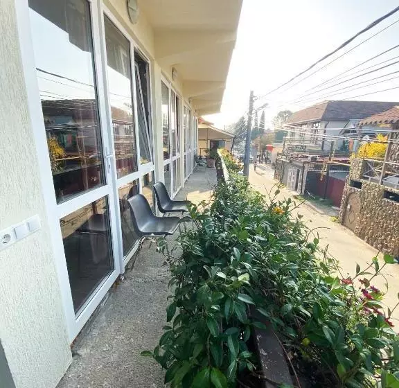 Majatalo Dikovinka Sochi Guest House
