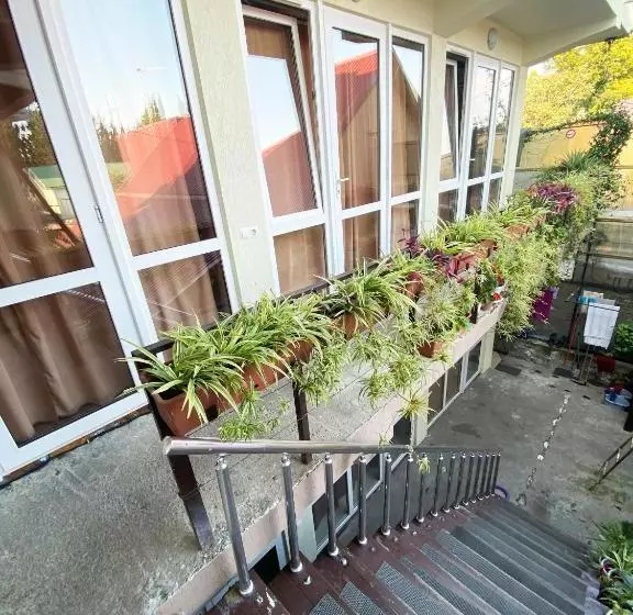 Majatalo Dikovinka Sochi Guest House