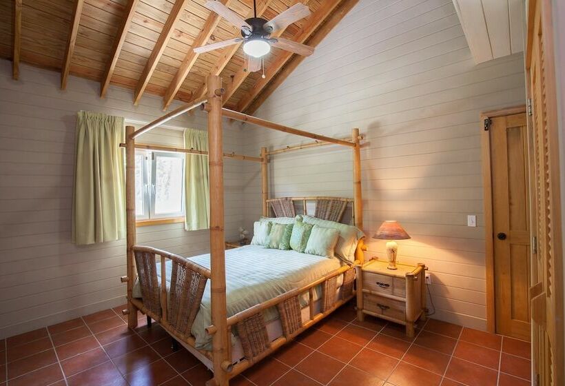 پانسیون Springwater Resorts